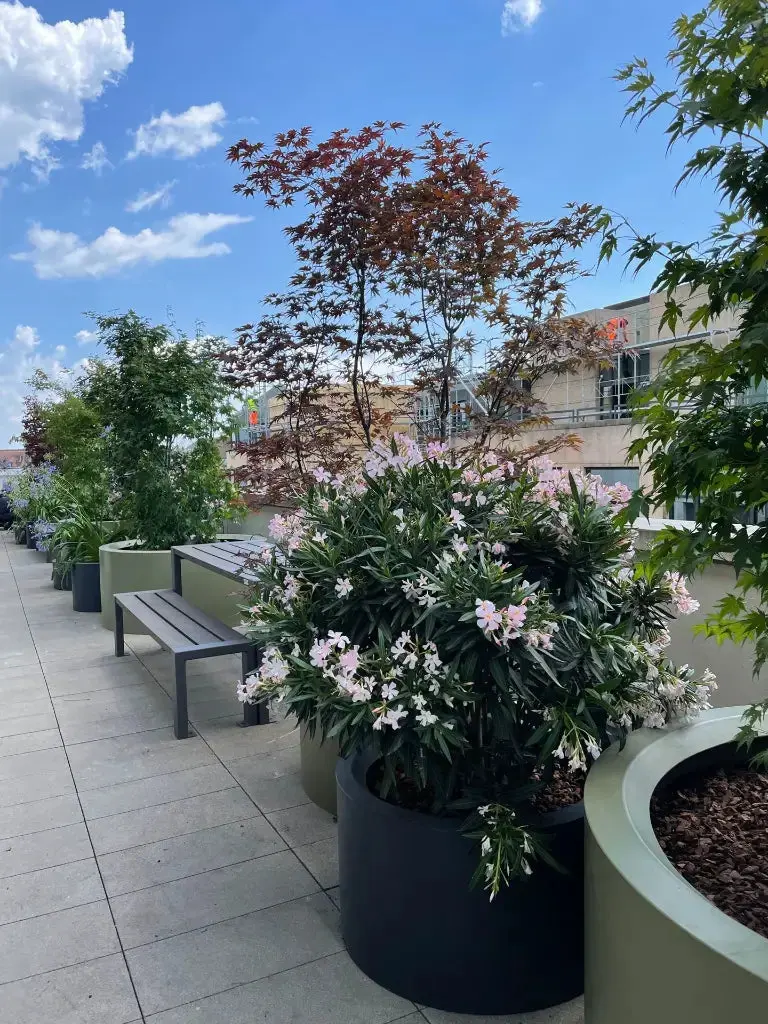 Pot décoratif Rodéo 150 à 2 400 L, PEHD rotomoulé, 21 coloris