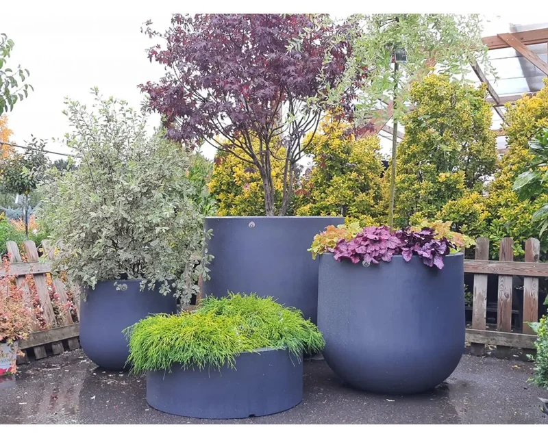 Pot Lune