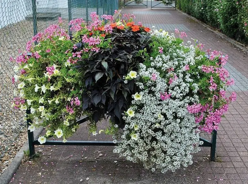 Jardinière pour fenêtre, mur ou barrière de ville, lot de 4
