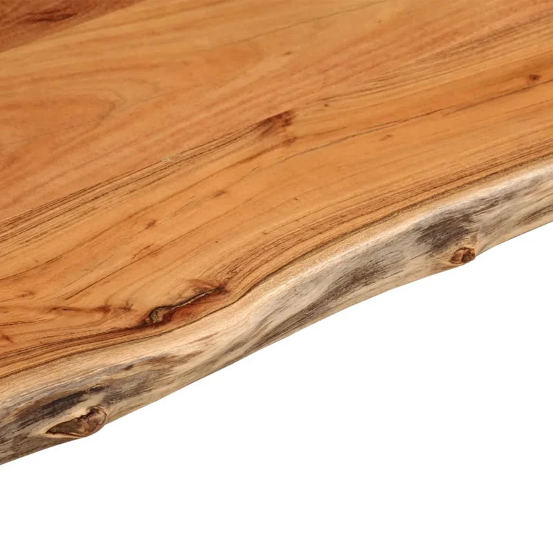 Bathroom Countertop 120x60x2,5 cm Rectangular Solid Wood Acacia