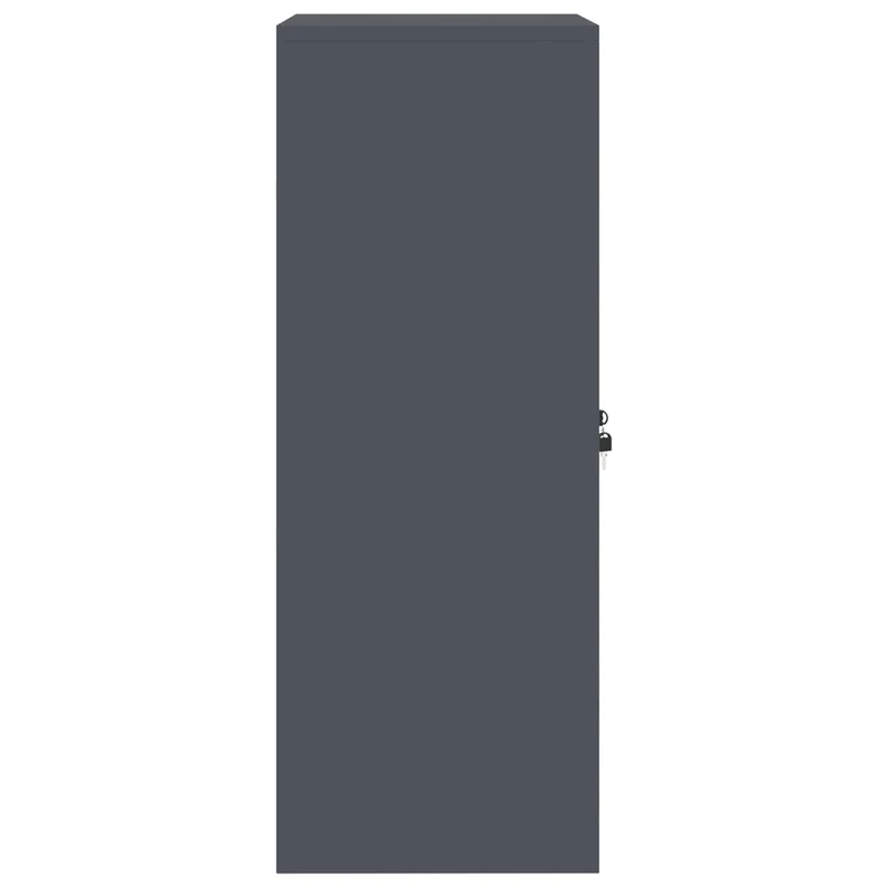 Storage Cabinet Anthracite 60 x 40 x 105 cm Steel