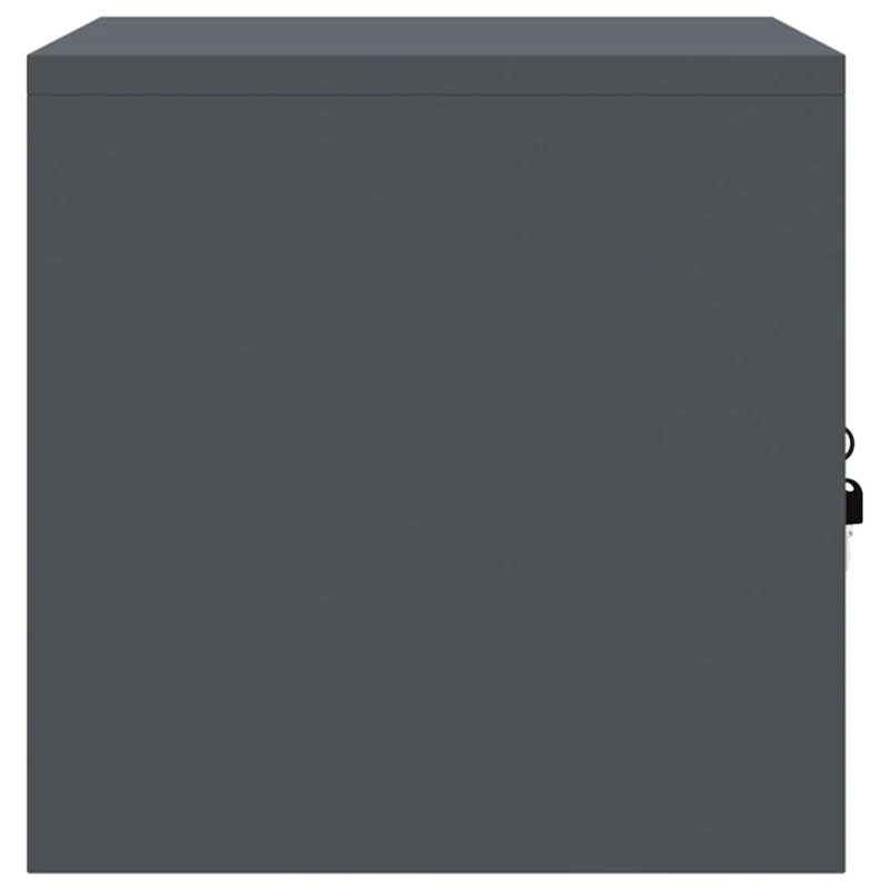 Storage Cabinet Anthracite 60 x 40 x 40 cm Steel