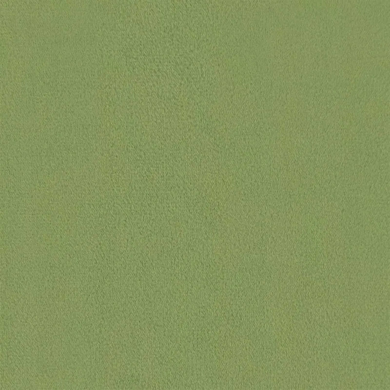 Sofa Set 2 pcs Light Green Velvet