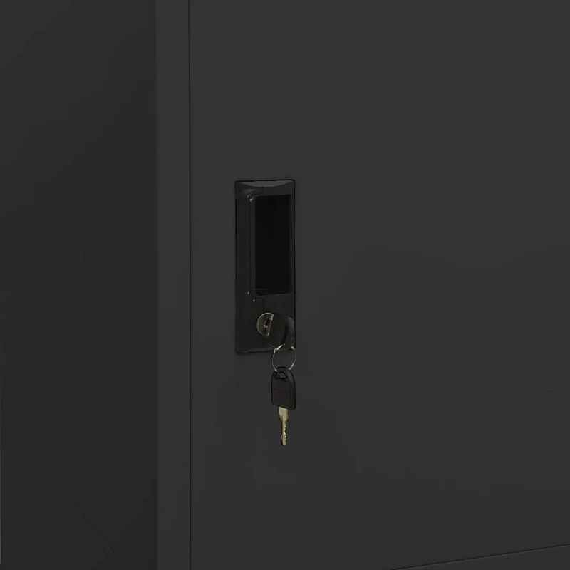335969 vidaXL Wardrobe Anthracite 80x50x180 cm Steel