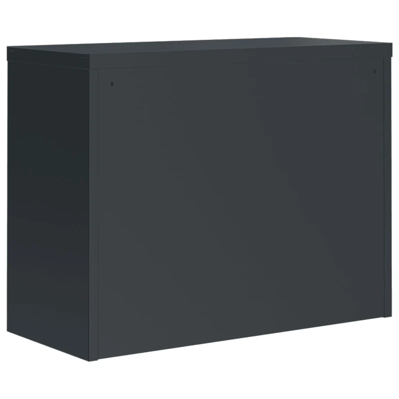File Cabinet Anthracite 90x40x110 cm Steel
