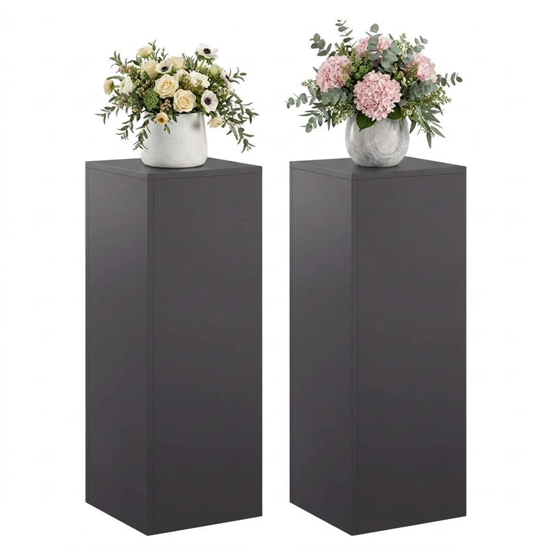 Plant Stand 2 pcs Black 30 x 30 x 80 cm Steel
