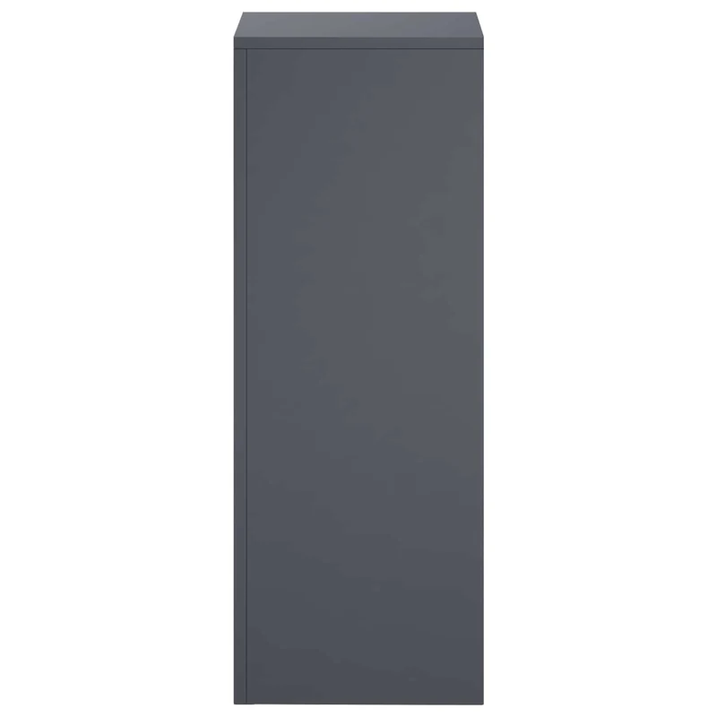 Plant Stand Anthracite 30 x 30 x 80 cm Stainless Steel