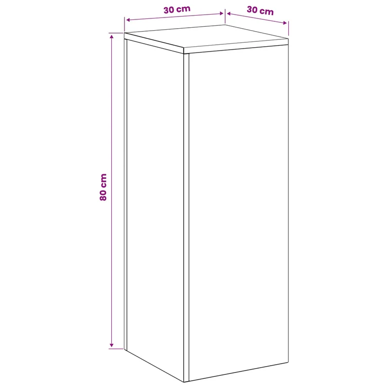 Plant Stand 2 pcs Silver 30 x 30 x 80 cm Steel