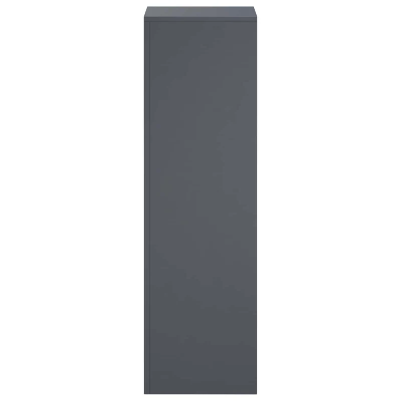 Plant Stand Anthracite 30 x 30 x 100 cm Stainless Steel