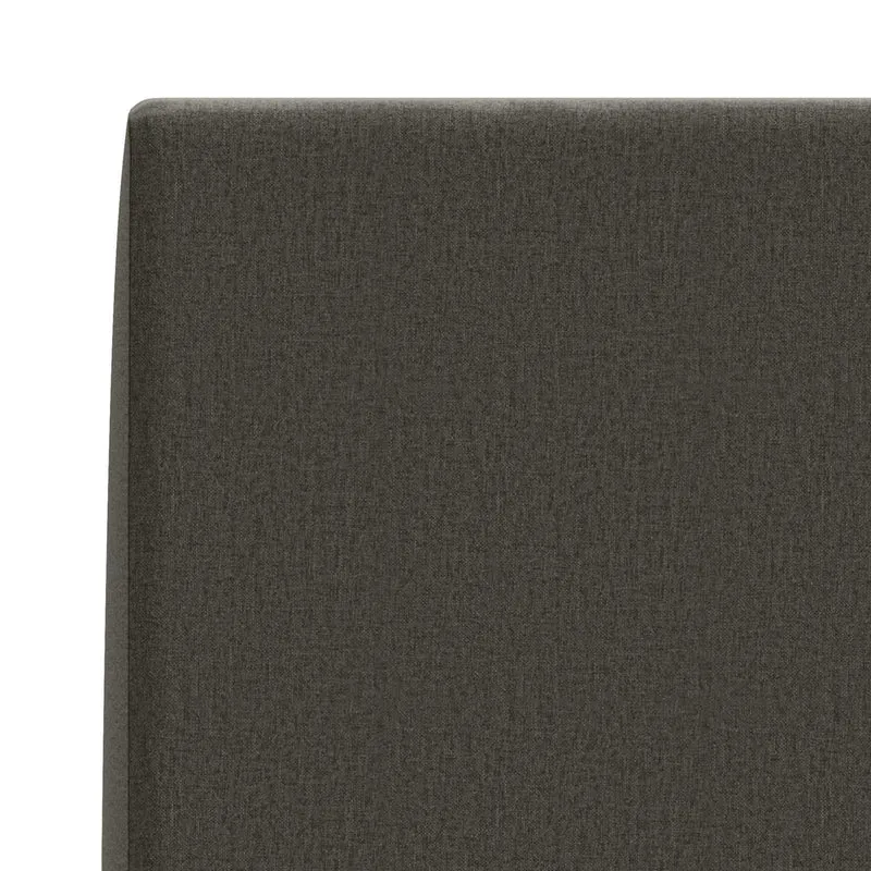 Back Cushion SOEST 100% Polyester Anthracite 120 x 20 x 40 cm