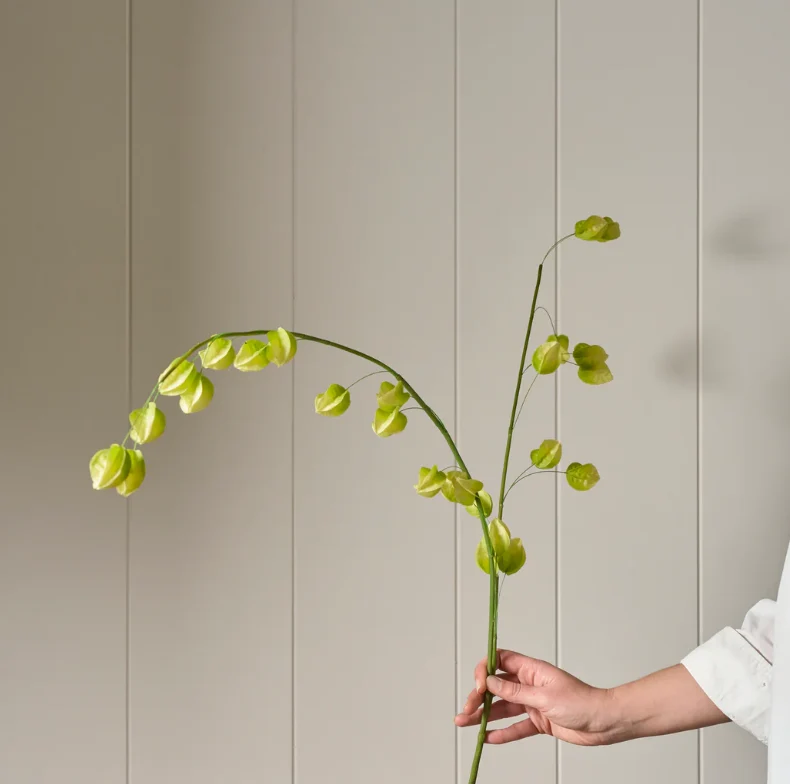 Physalis Spray, Green