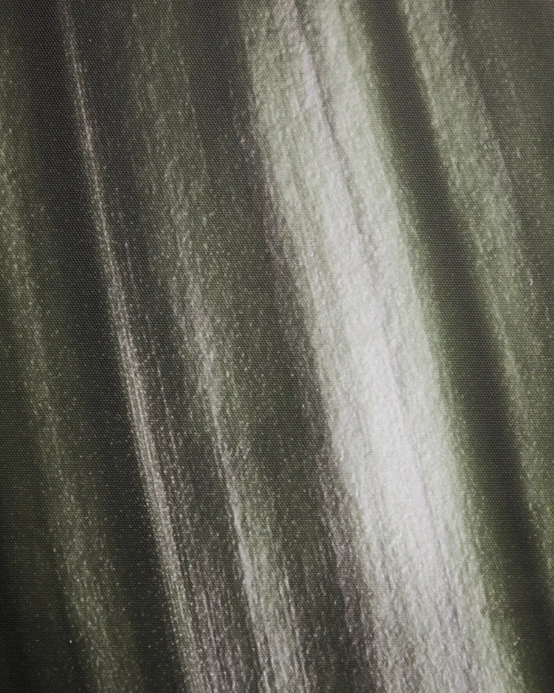 Foliae leaf photograph picture 52 x 72cm