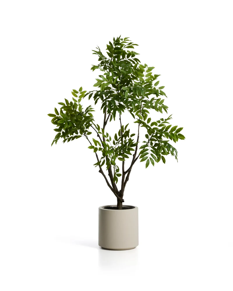 Artificial Rhus tree with white pot 185cm