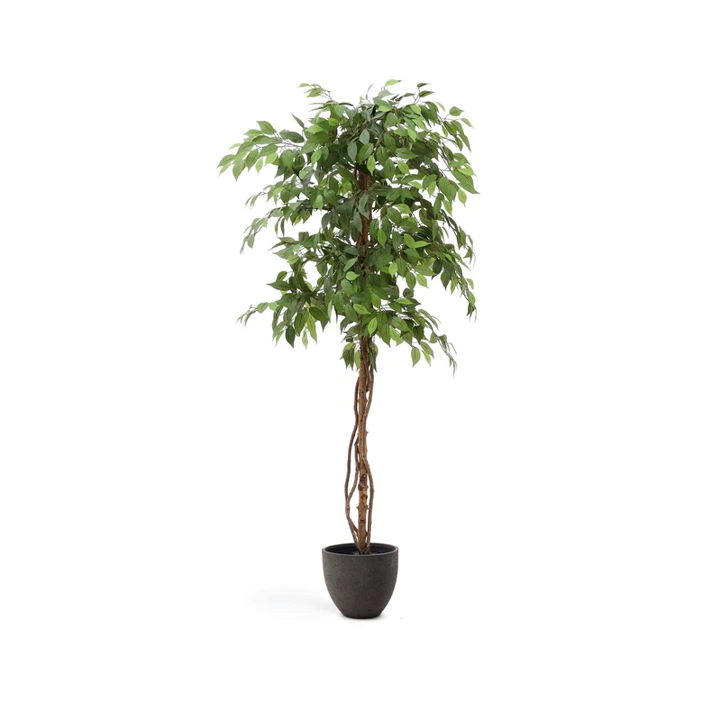 Artificial Ficus tree in black pot 180 cm