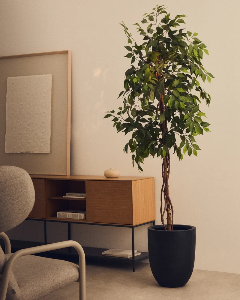 Artificial Ficus tree in black pot 180 cm