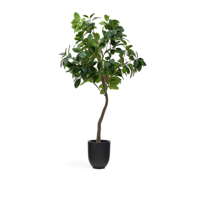 Artificial Ficus tree in black pot 210 cm