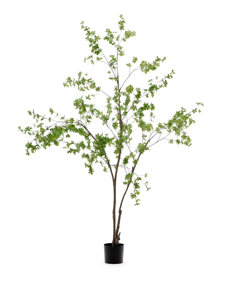 Enkianthus artificial tree with black pot 214 cm