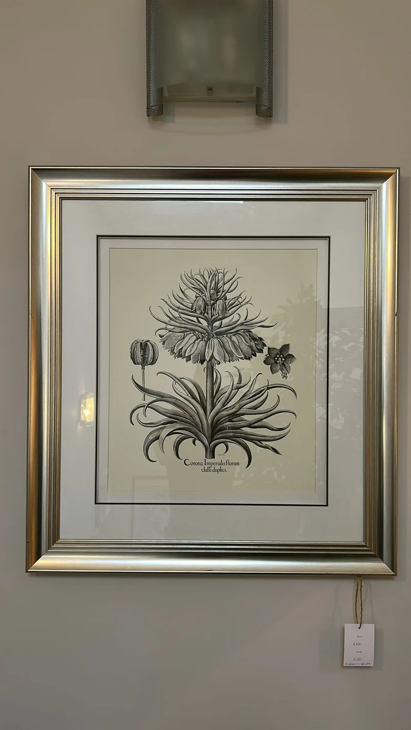 Dartmoor Botanical