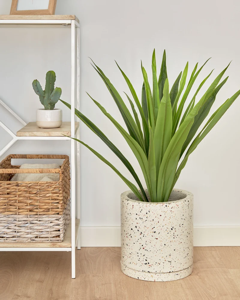 Yucca artificial plant