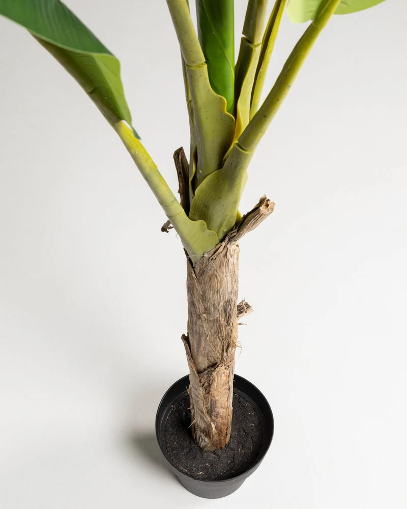 Baa artificial plant 160 cm