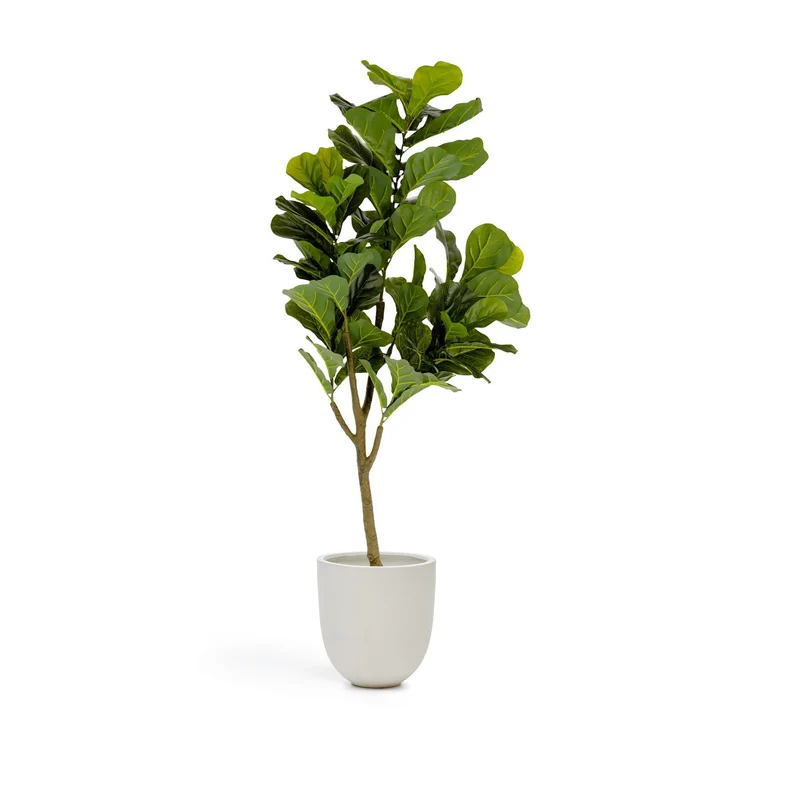 Ficus artificial 150 cm