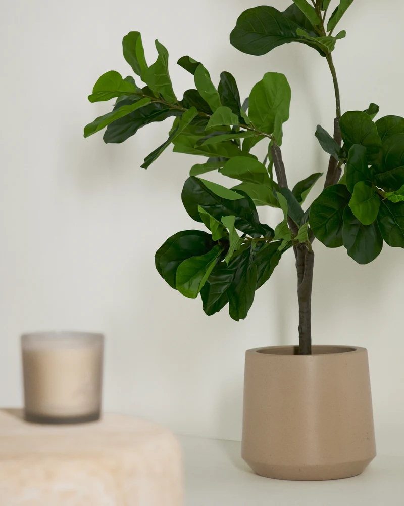 Ficus artificial 150 cm