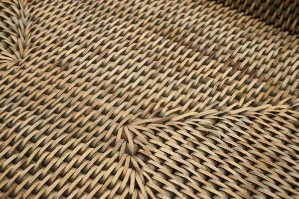Togo Tray