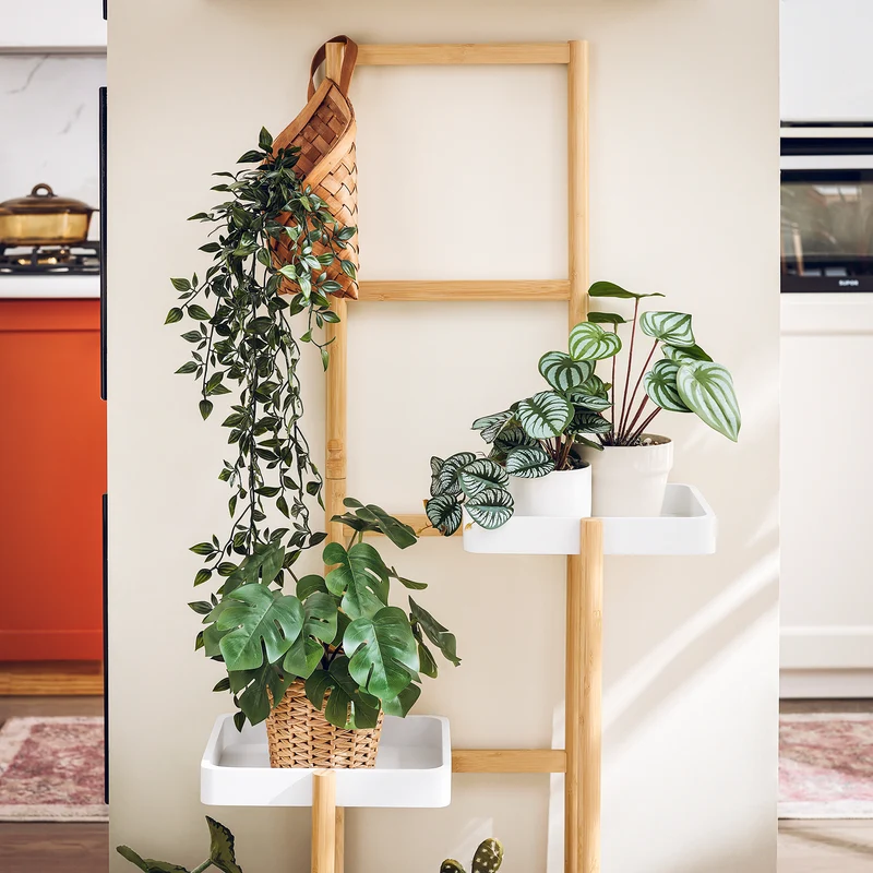 SoBuy STR13-WN Étagère à Fleurs Support de Pots de Fleurs Porte Plante en Bambou à 5 niveaux
