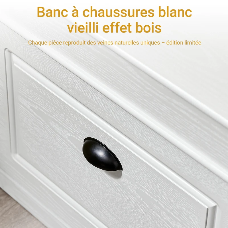 SoBuy FSR82-L-WG Banc à Chaussures Coffre Gain de Place – Coussin et Tiroir Push-to-Open
