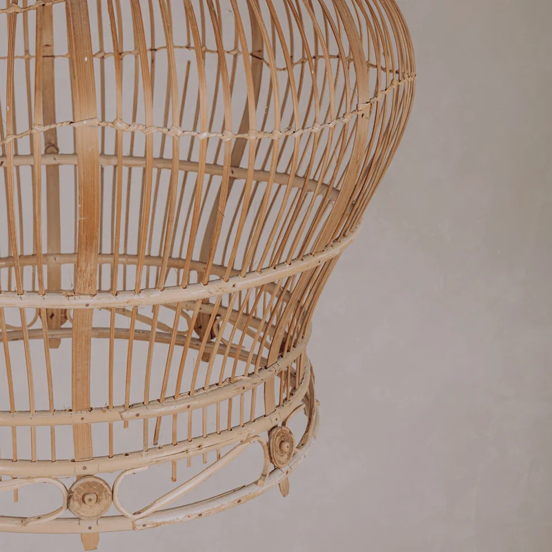 Suspension cage