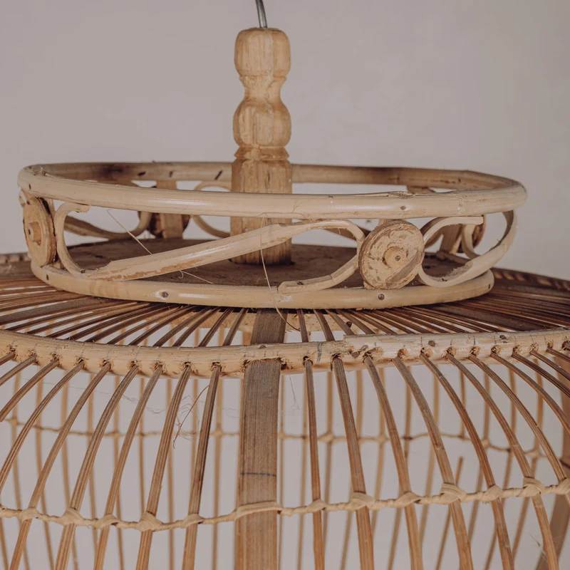 Suspension cage