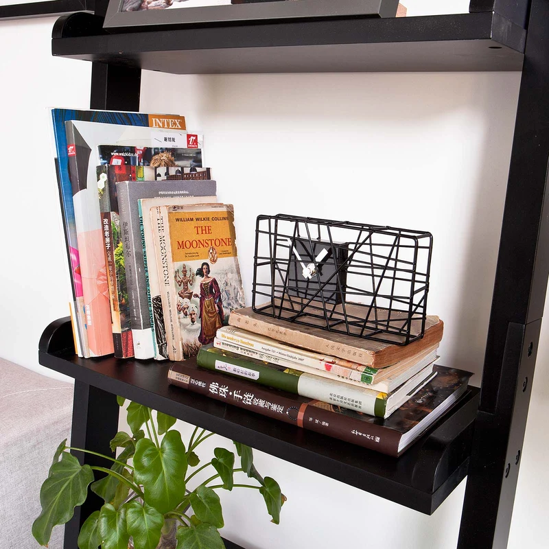 SoBuy FRG17-SCH étagère murale style échelle Bibliothèque – 5 étages